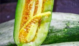 贵阳网红吃瓜,揭秘城市美食新潮流